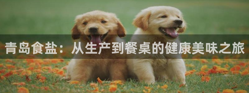 保定威九网络科技有限公司电话