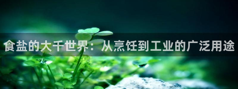 威九国际空降服务女演员叫什么名字