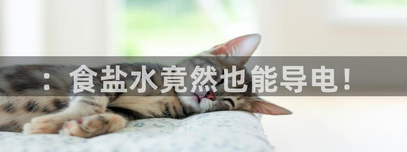 威九国际清砖码