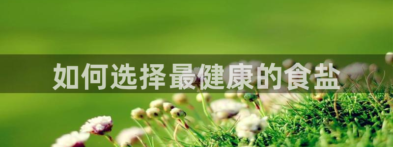 威九国际软件公司简介