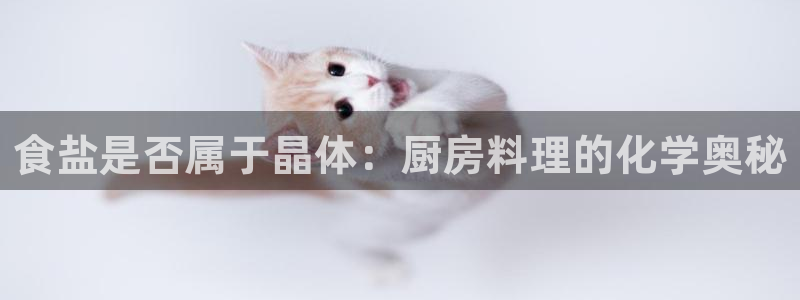 78.m威九国际官网版