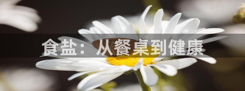 威九国际犯法吗