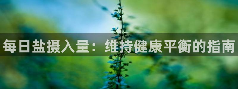 威九国际66m66官网