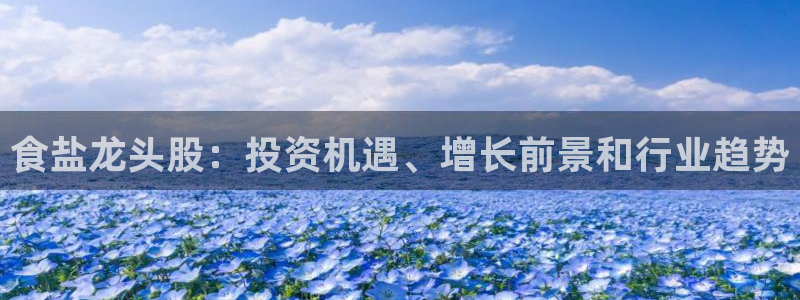 威九国际APP入口