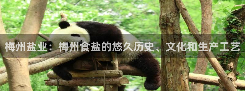 威九国际系列
