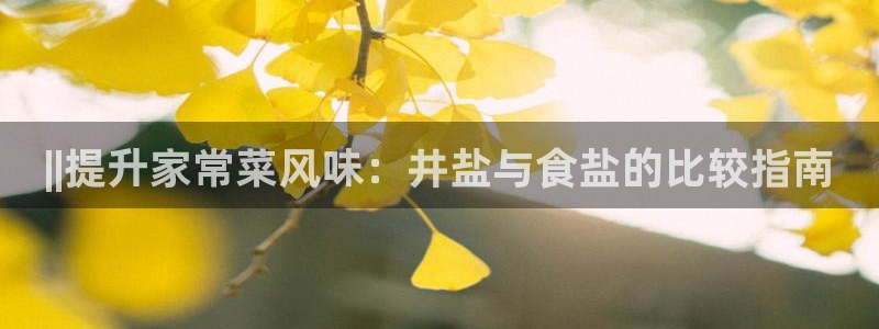 威九国际66m入口