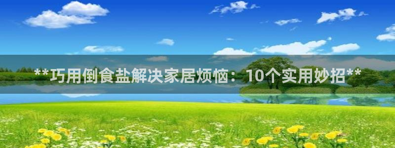 威九国际软件