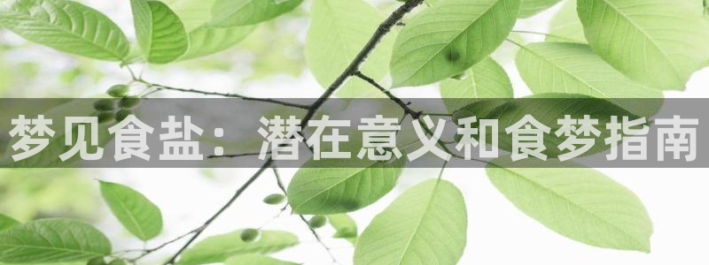 威九国际官网版