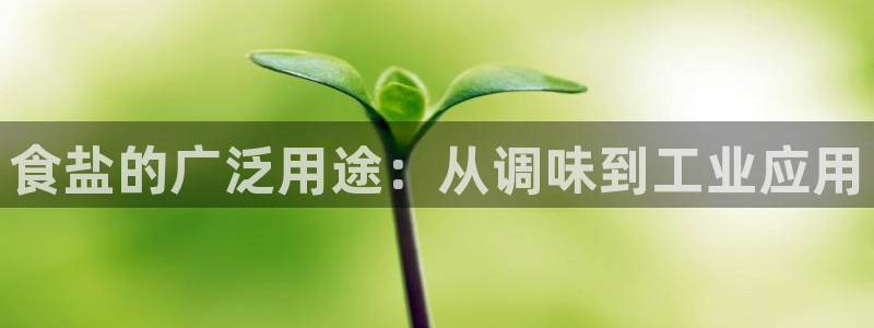 威九国际女主名字