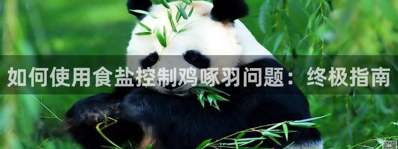 威九国际提款不出来