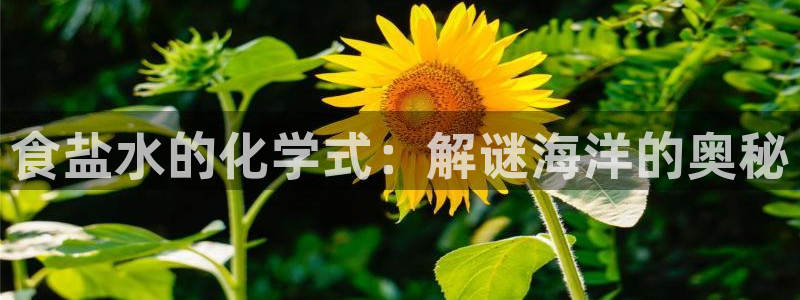 威九国际8ⅹ8x