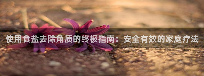 威九国际演员表