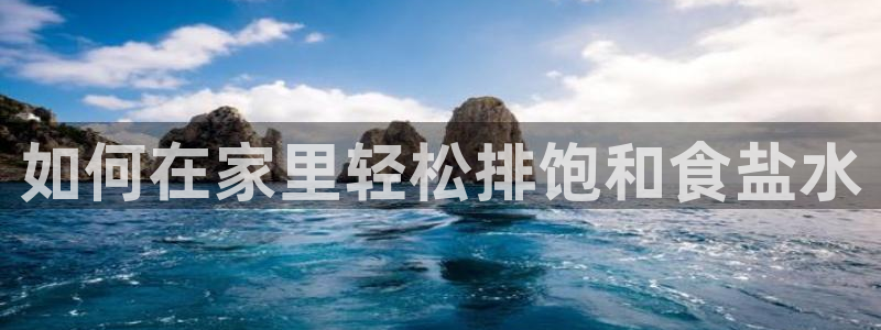 威九国际ppt免费吗