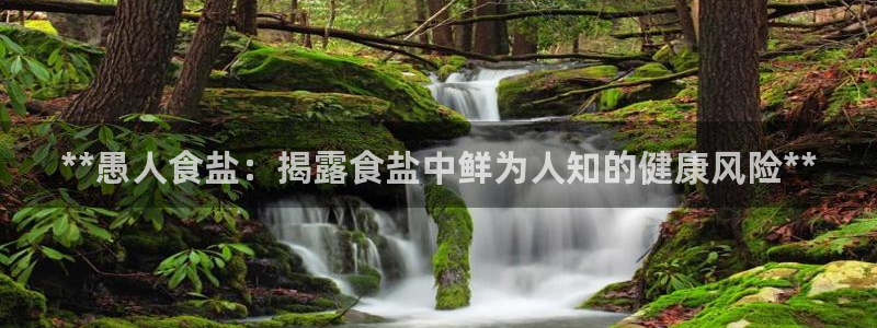 威九国际客服电话号码是多少