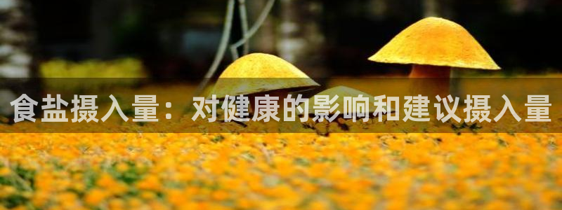 威九国际取款
