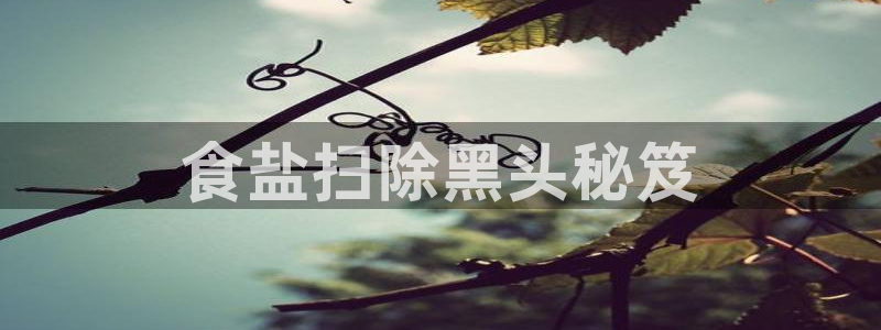 威九国际官网登录入口