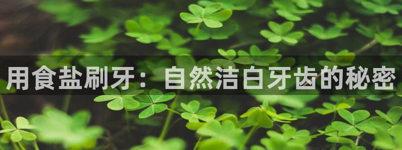 威九国际游戏