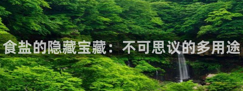 威九国际免费ppt网址