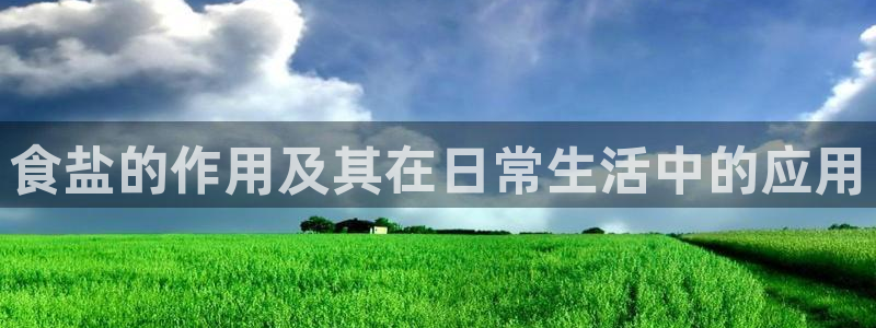 威九国际ft
