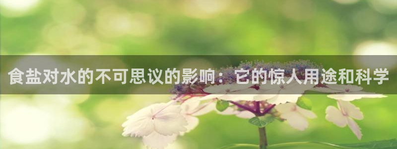 威九国际ppt免费下载网址