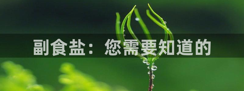 威九国际v8