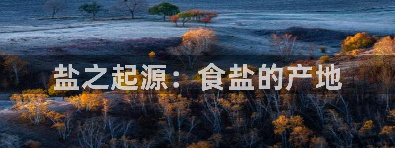 威九国际取款机怎么取