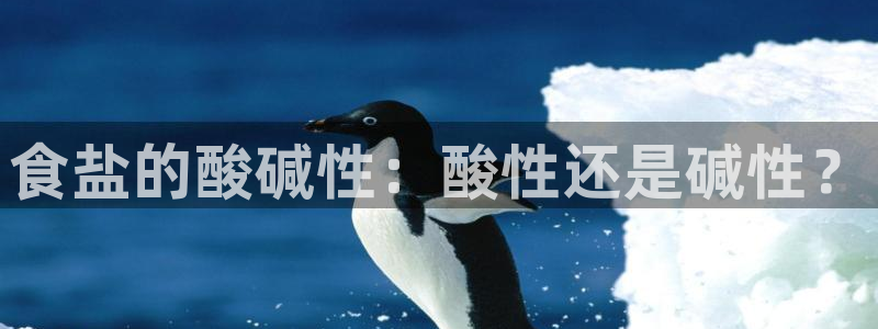 威九国际最新网站