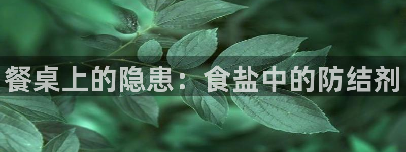 威九国际电视