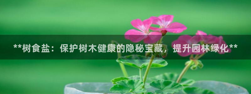 威九国际网站客服电话多少号