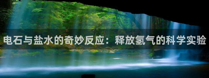 威九国际客服电话
