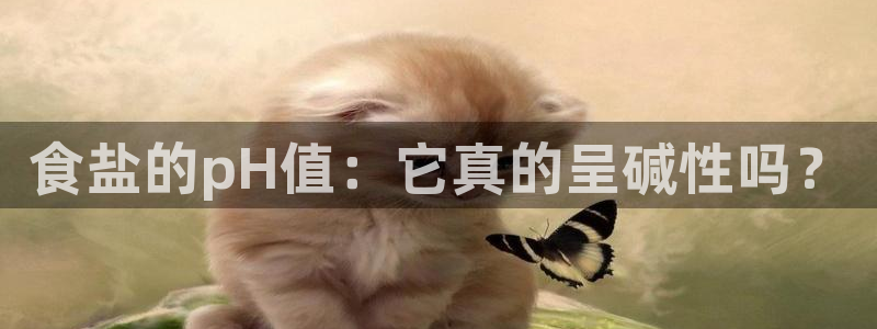 威九国际网站更新了吗