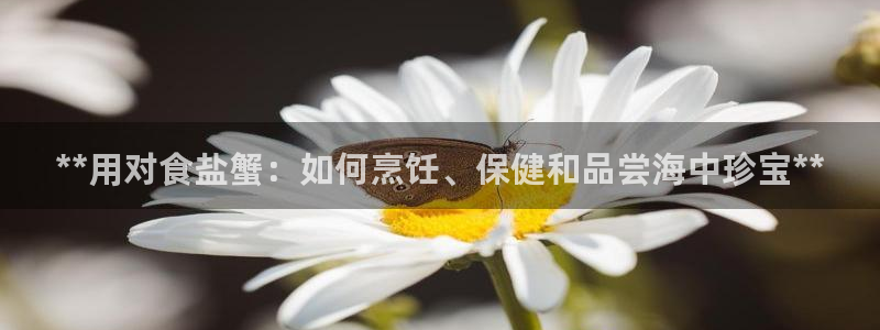 威九国际HP