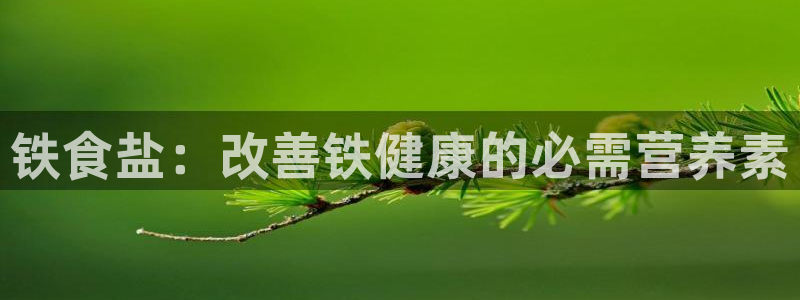 威九国际下载官网app