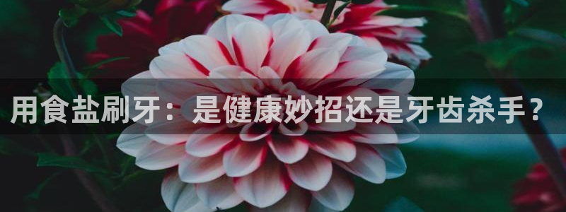 威九国际官方网站