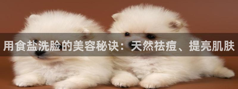 威九国际网站入口rdquo