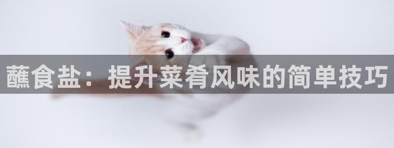 78mapp威九国际媒体