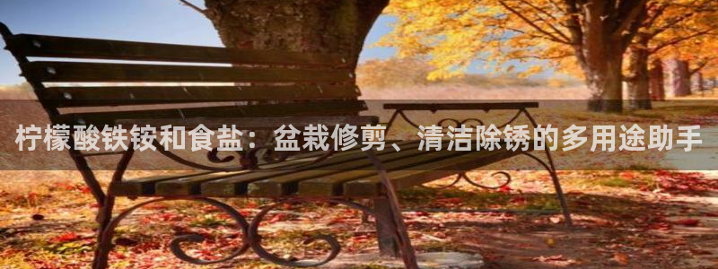 威九国际66cm