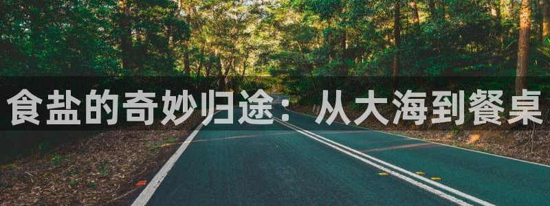 威九国际男演员