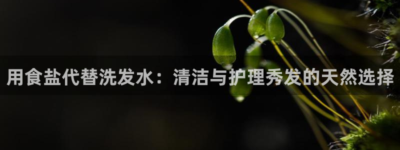 威九国际app入口官网