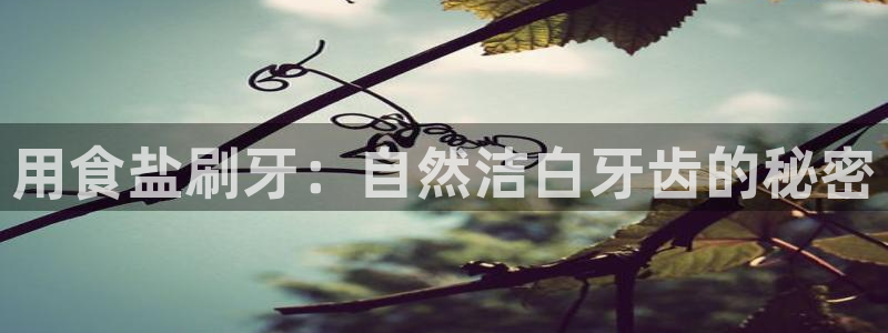 威九国际官方入口官网