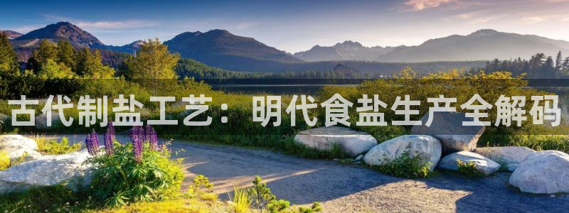 威九国际人民网招聘