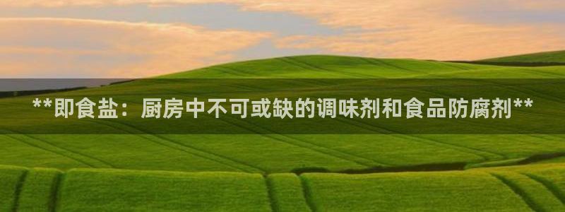 威九国际游戏app(网站)