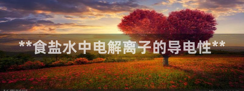 威九国际天美