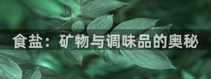 威九国际官网在线进入网站查询