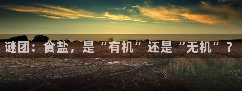 威九国际演员名单