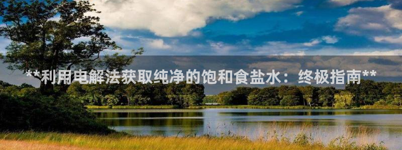 威九国际的演员