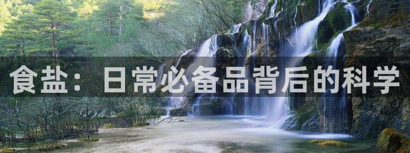威九国际网站入口官网免费