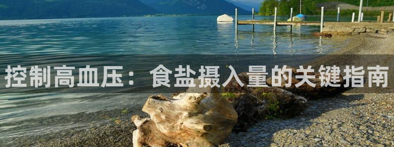 威九国际网站影视