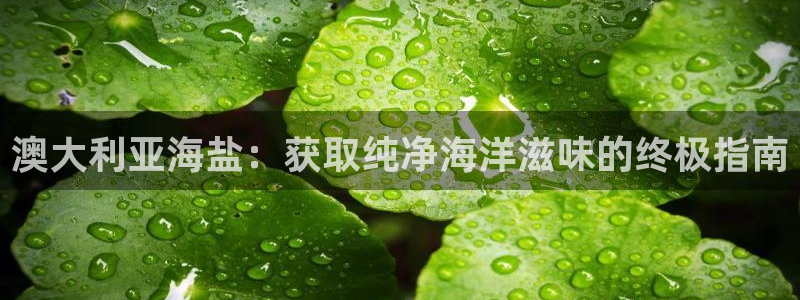 威九国际入口一