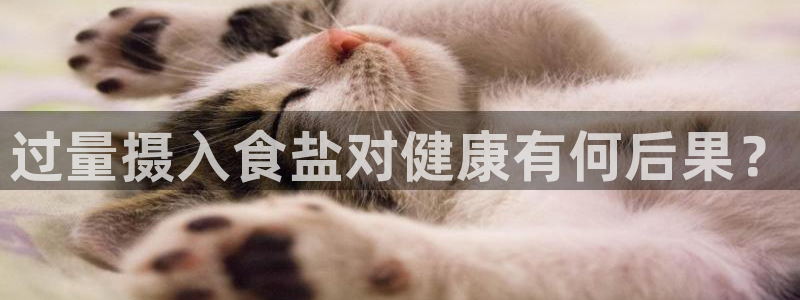 威九国际在哪里